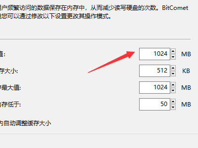 BitComet(比特彗星)截图