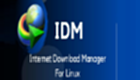 IDM下載器如何抓取站點-IDM下載器抓取站點方法