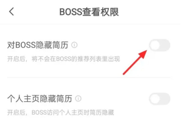 boss,boss最新下载