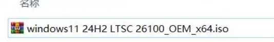 Windows 11 64位 24H2 企业版LTSC下载