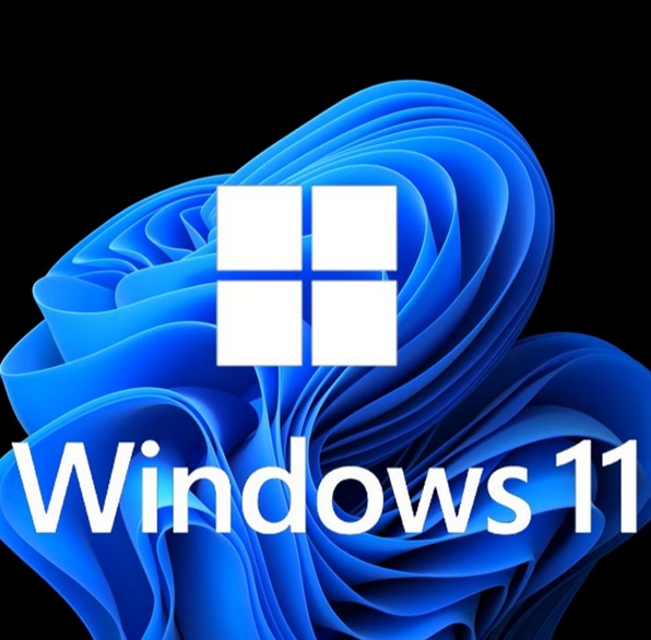 Windows11 23H2 64位 专业工作站版 怎么安装？-Windows11 23H2 64位 专业工作站版装机教程