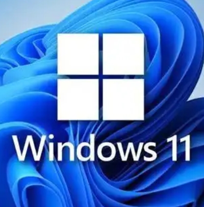 Windows11 23H2 64位 专业精简版怎么安装？-Windows11 23H2 64位 专业精简版装机教程