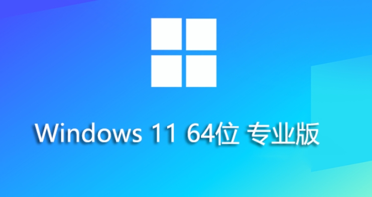 Win11 23H2 64位专业精简版