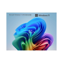Windows11 24H2 26100.3915 X64 正式版怎么安裝-Windows11 24H2 26100.3915 X64 正式版安裝的方法