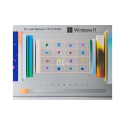 Windows11 22H2 64位 專業(yè)工作站版怎么安裝-Windows11 22H2 64位 專業(yè)工作站版安裝的方法