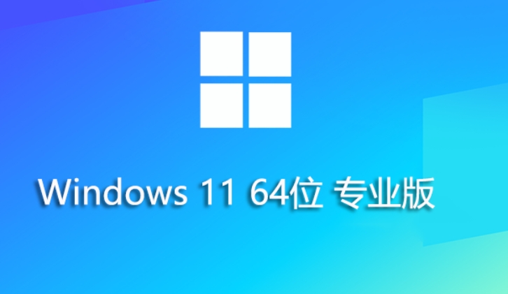 Windows 11 專業(yè)優(yōu)化版 64位