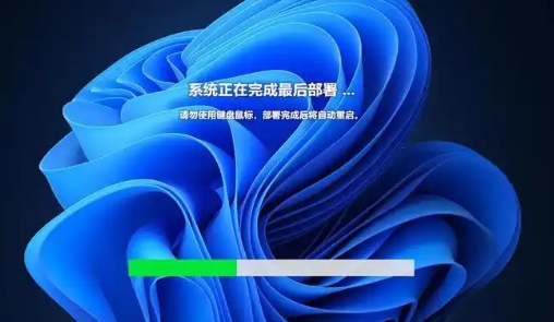 Windows 11 專業(yè)優(yōu)化版 64位