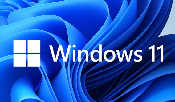 Windows 11 專業(yè)優(yōu)化版 64位