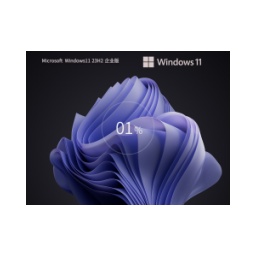 Windows11 23H2 64位 最新企業(yè)版怎么安裝-Windows11 23H2 64位 最新企業(yè)版安裝的方法