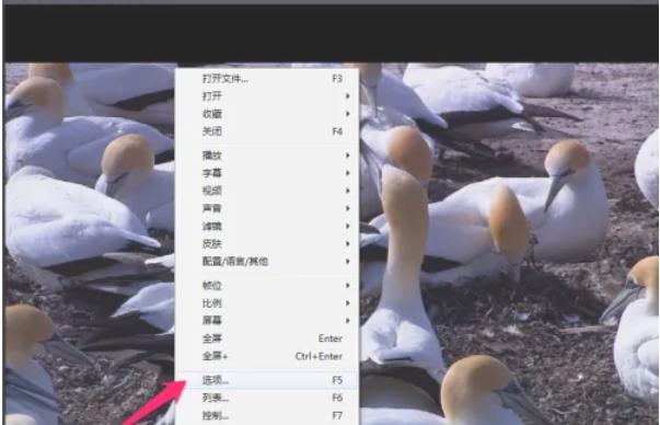 potplayer,potplayer最新下載
