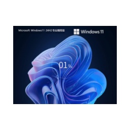 少量精簡 Windows11 24H2 64位 專業(yè)精簡版鏡像怎么安裝-少量精簡 Windows11 24H2 64位 專業(yè)精簡版鏡像安裝的方法