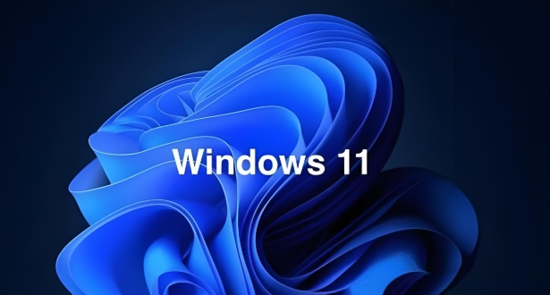 Windows 11 64位純凈版