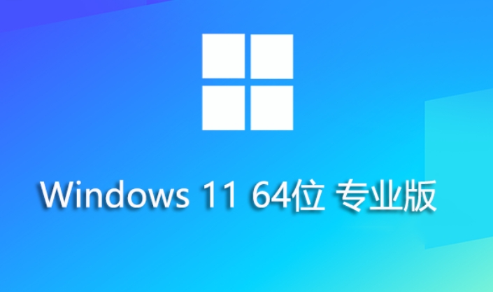Windows 11 64位 23H2 專業(yè)裝機(jī)版