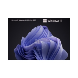 【最安全的 Windows】Windows11 23H2 64位 最新企業版怎么安裝-【最安全的 Windows】Windows11 23H2 64位 最新企業版安裝的方法