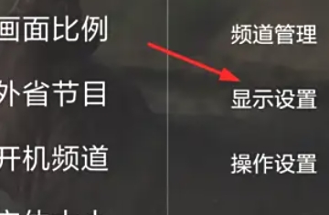 HDP直播,HDP直播下载