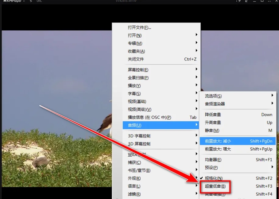 KMPlayer下载