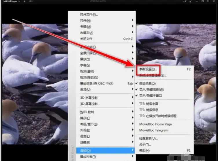 kmplayer下载