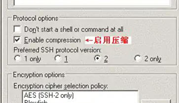 Putty,Putty下载