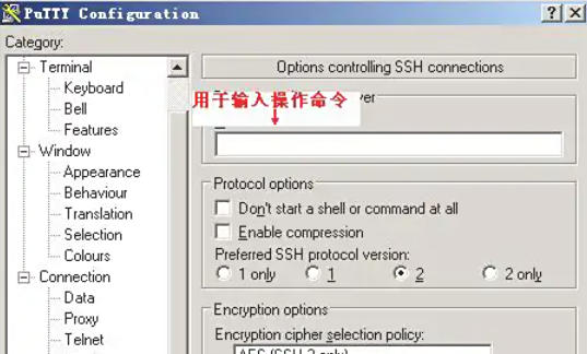 Putty,Putty下载
