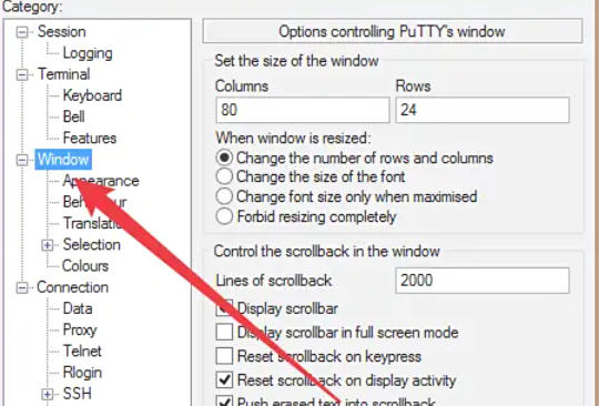 Putty,Putty下载