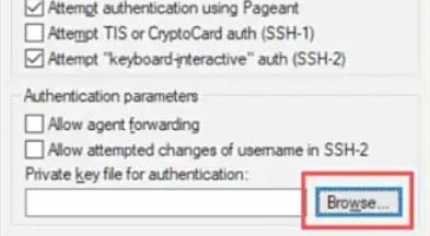 Putty,Putty下载