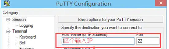 Putty,Putty下载