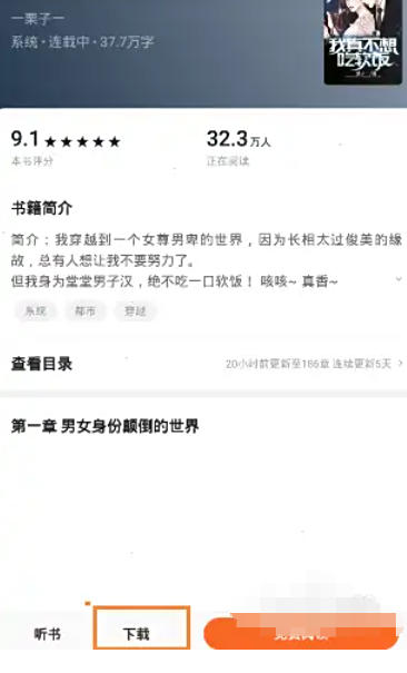 番茄小说下载