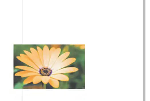 coreldraw,coreldraw下载