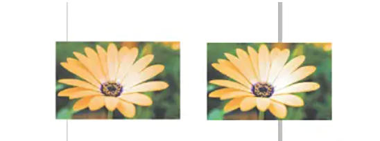 coreldraw,coreldraw下载