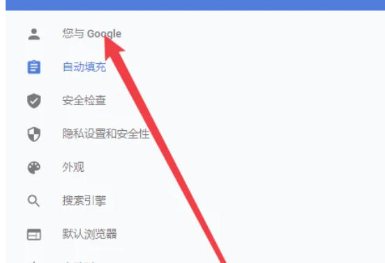 谷歌浏览器,谷歌浏览器下载