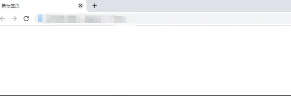 谷歌浏览器,谷歌浏览器下载