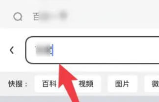 夸克浏览器,夸克浏览器下载