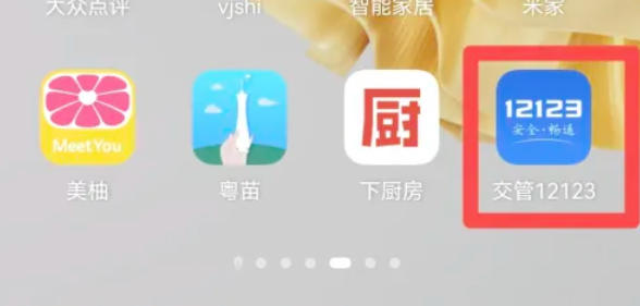 交管12123,交管12123下载