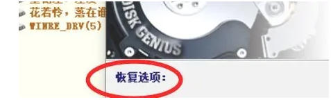diskgenius,diskgenius下载