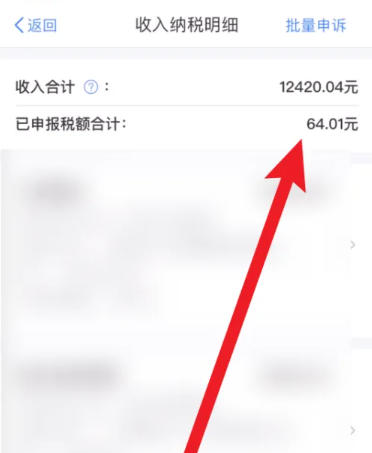 个人所得税下载