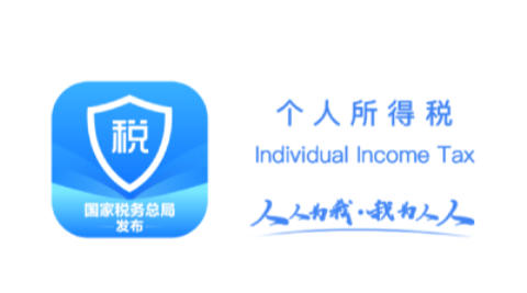 个人所得税下载