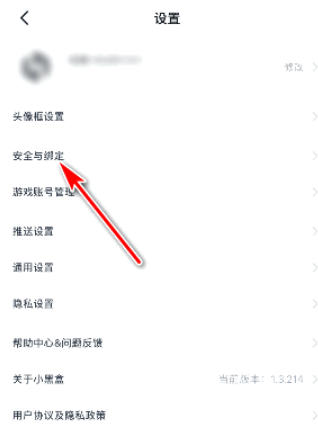 小黑盒加速器下载