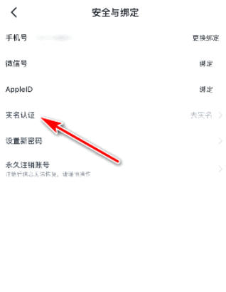 小黑盒加速器下载