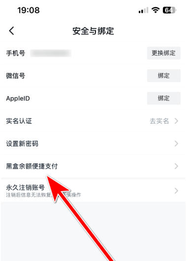 小黑盒加速器下载
