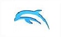 Wii模拟器Dolphin段首LOGO