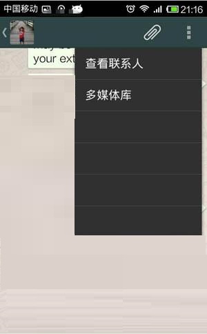 whatsapp messenger截图