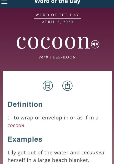 Dictionary截图