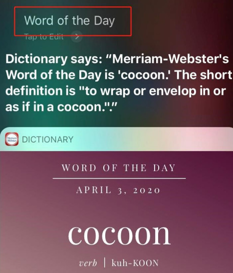 Dictionary截图