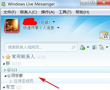 MSN Messenger截图