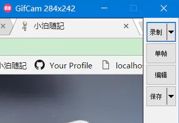 GifCam软件截图