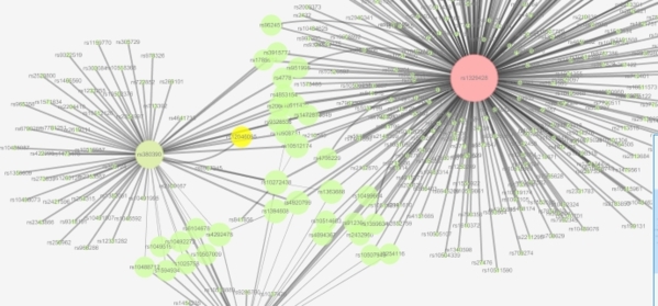 cytoscape geography