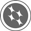 NVivo