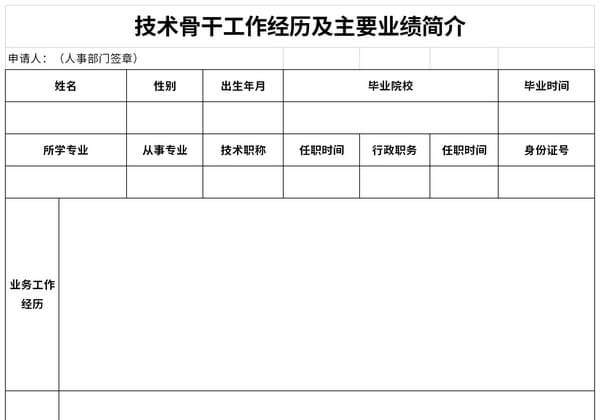 技术骨干工作经历及主要业绩简介表