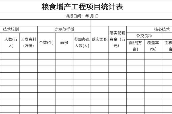 粮食增产工程项目统计表