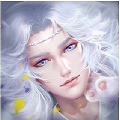 灵猫传